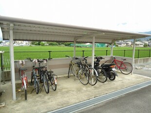 信濃松川駅 徒歩10分 1階の物件内観写真